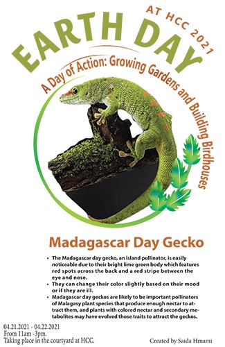 A Day of Action - Growing Gardens and Building Birdhouses - Madagascar Day Gecko