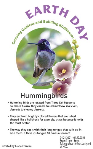 A Day of Action - Growing Gardens and Building Birdhouses - Hummingbirds