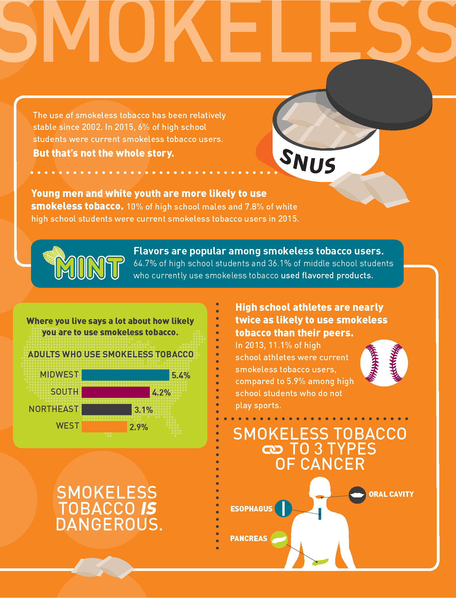 Smokeless Infographic